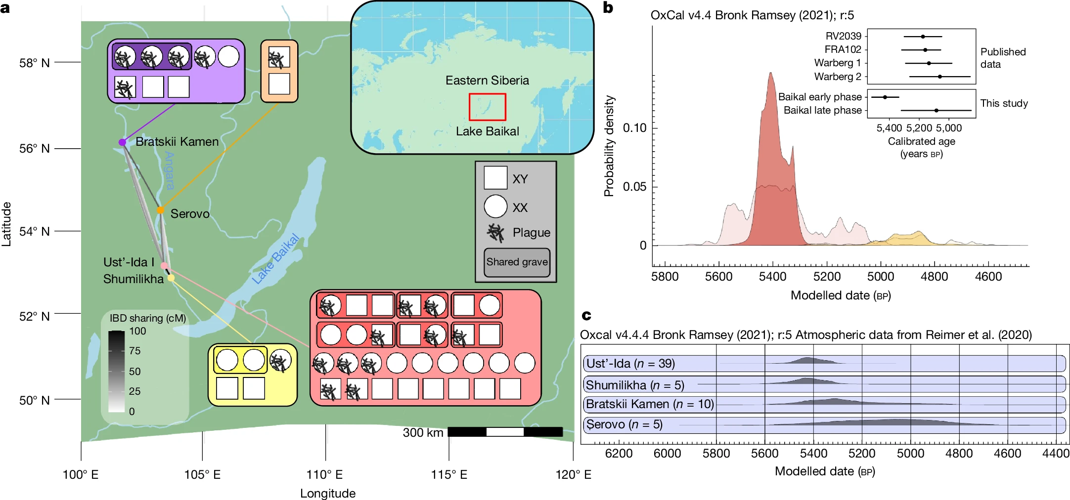 Overview of the spatiotemporal distribution of ancient humans and plague infections in this study