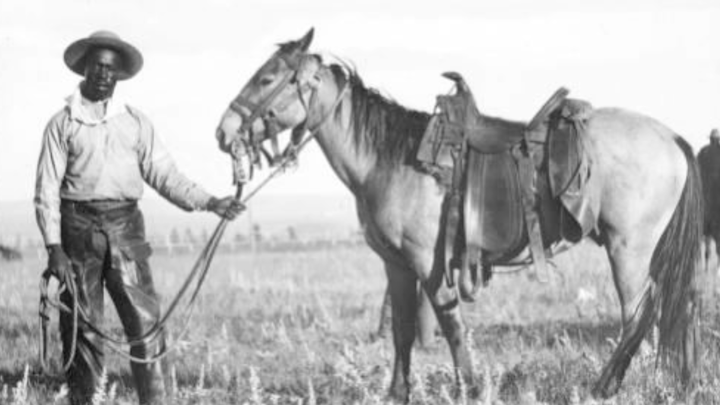 Barbudan Rancher
