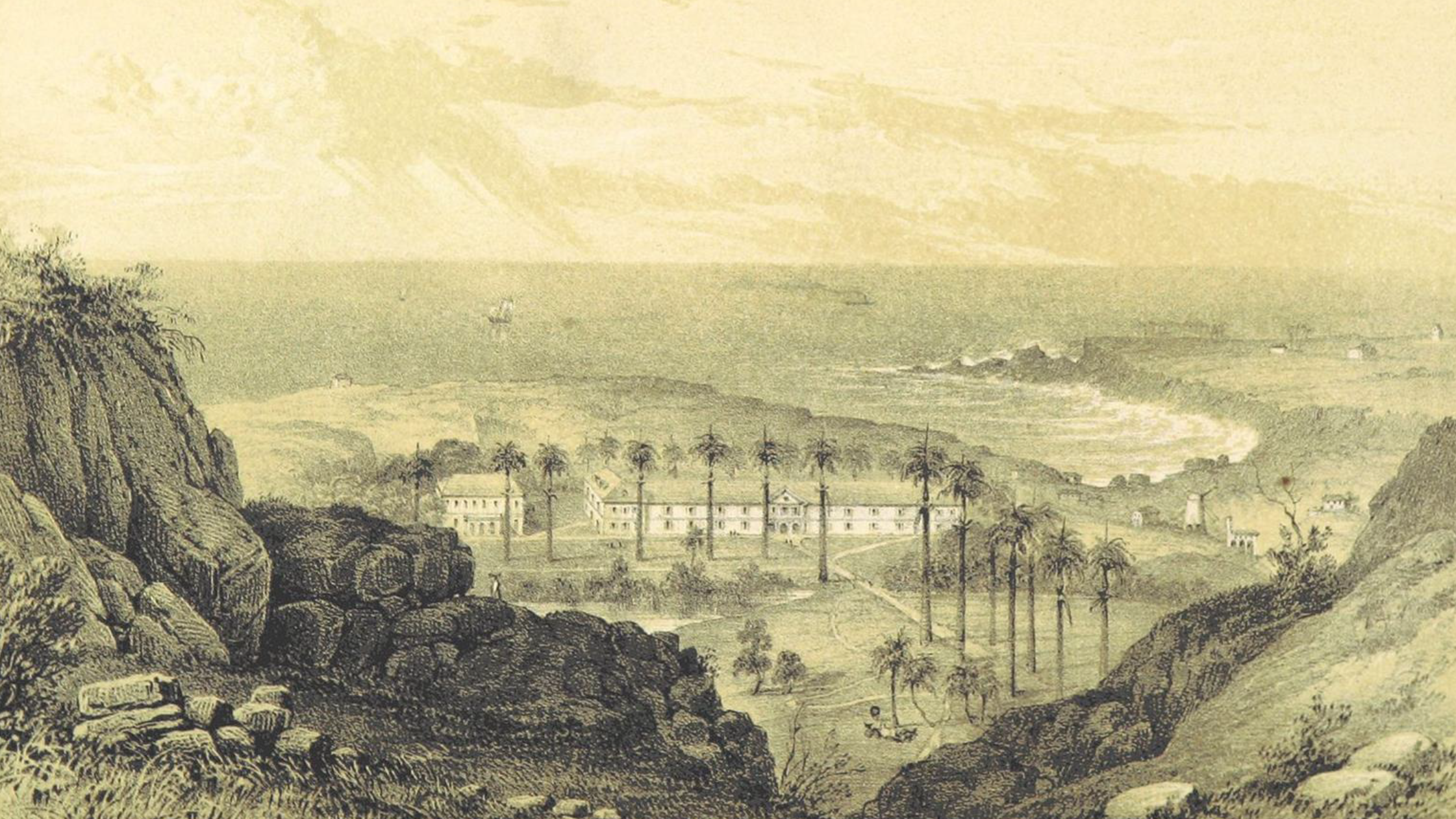 Plantation
