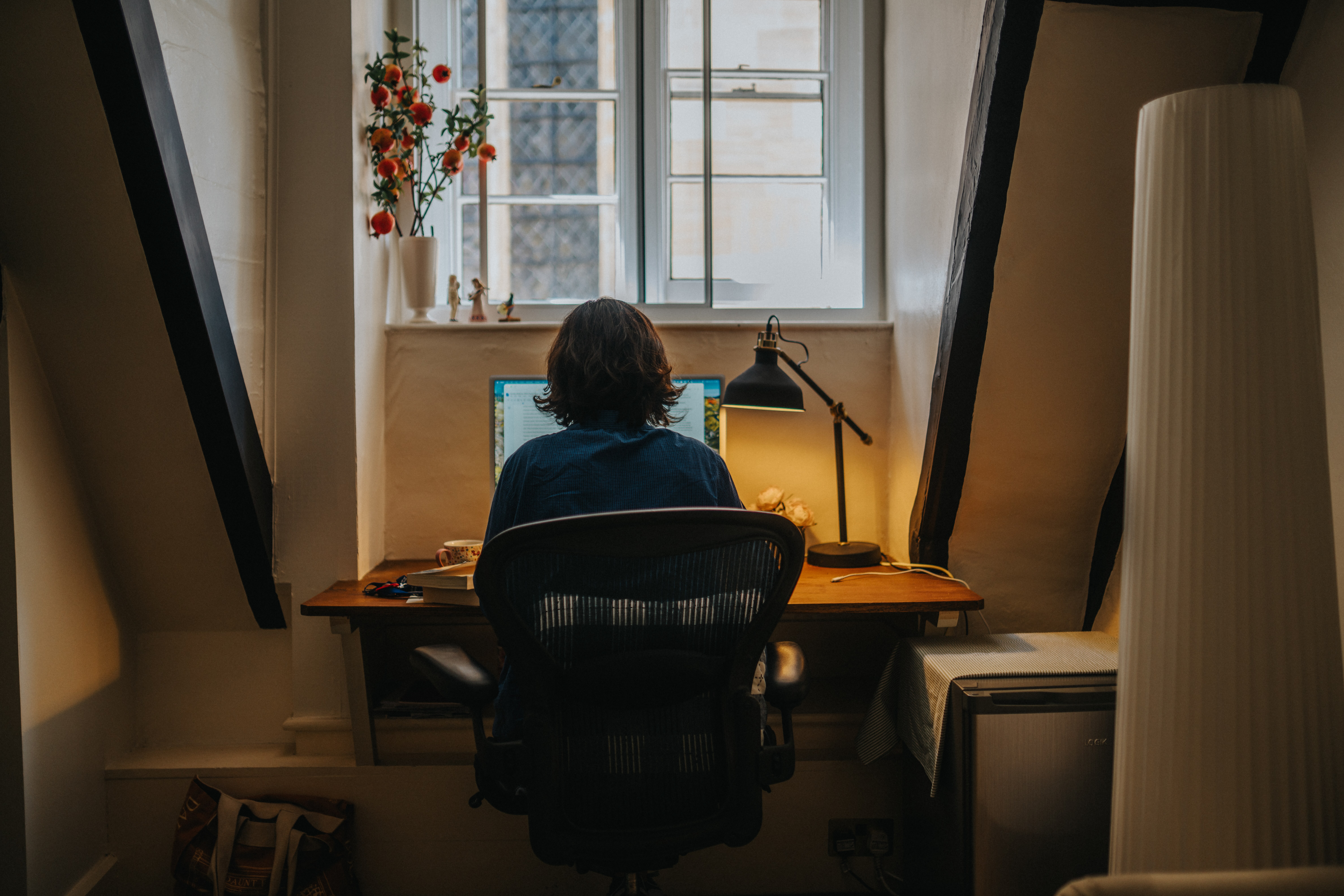 Fellow in their study, All Souls College, Oxford