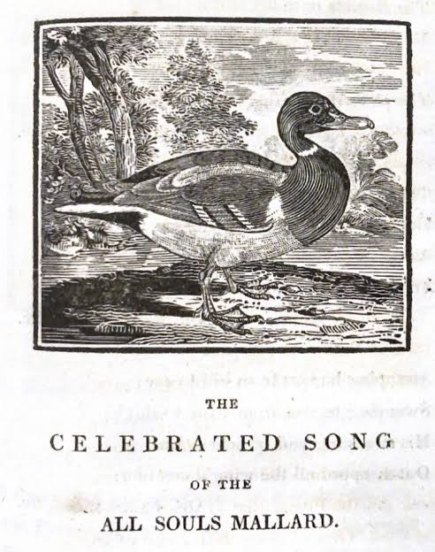 Mallard, All Souls College