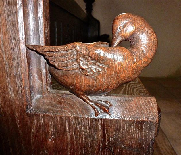 Mallard, All Souls College