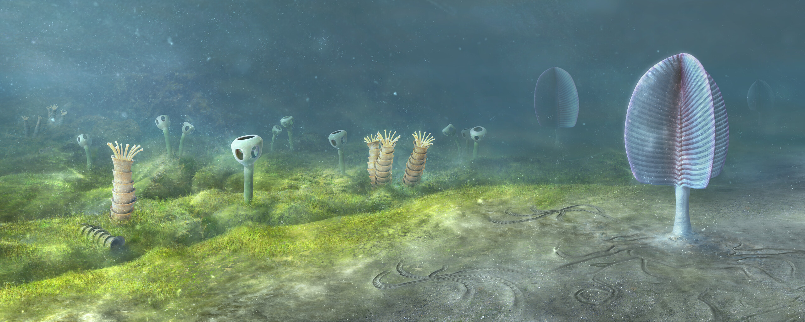 Ediacaran_sea_floor_Namibia_Southwest_Africa_543_million_years_ago_Illustration_by_Mighty_Fossils