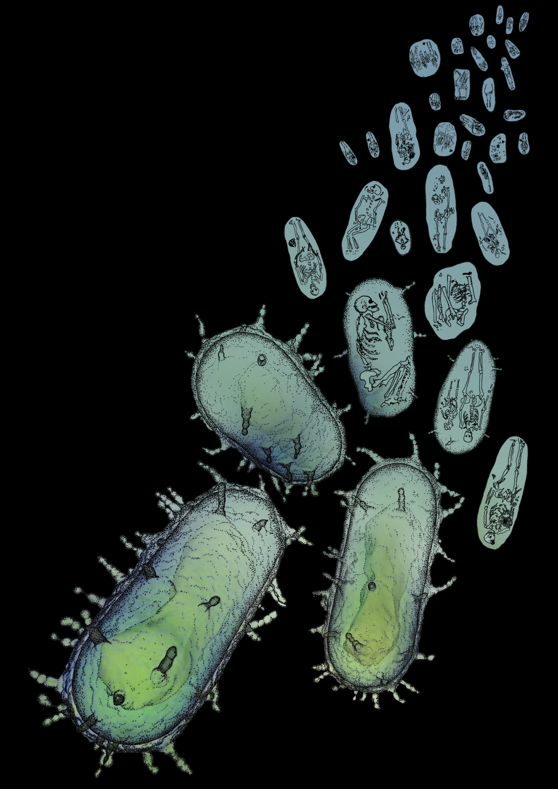 Plague image by Katherine Hearne