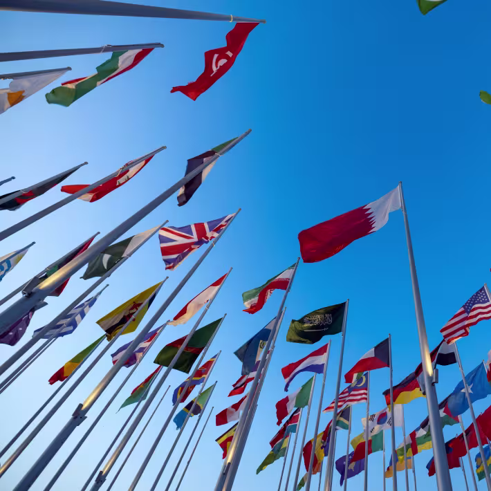 World Flags
