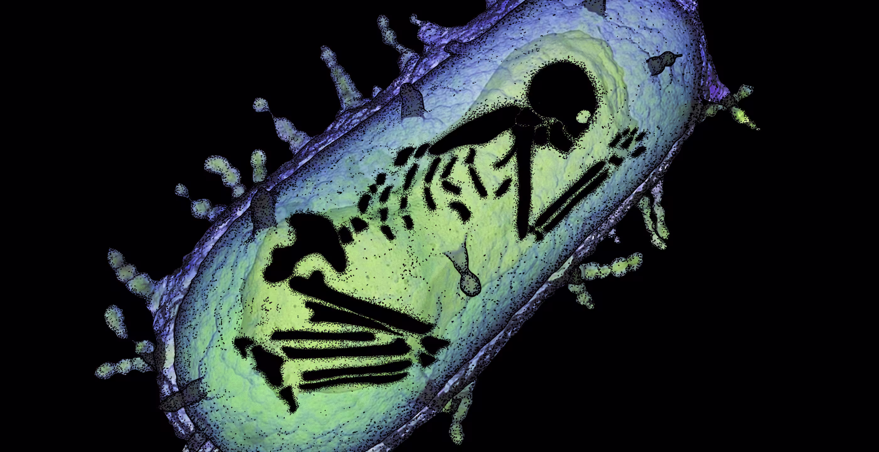 Image of a skeletal figure within a cell like structure