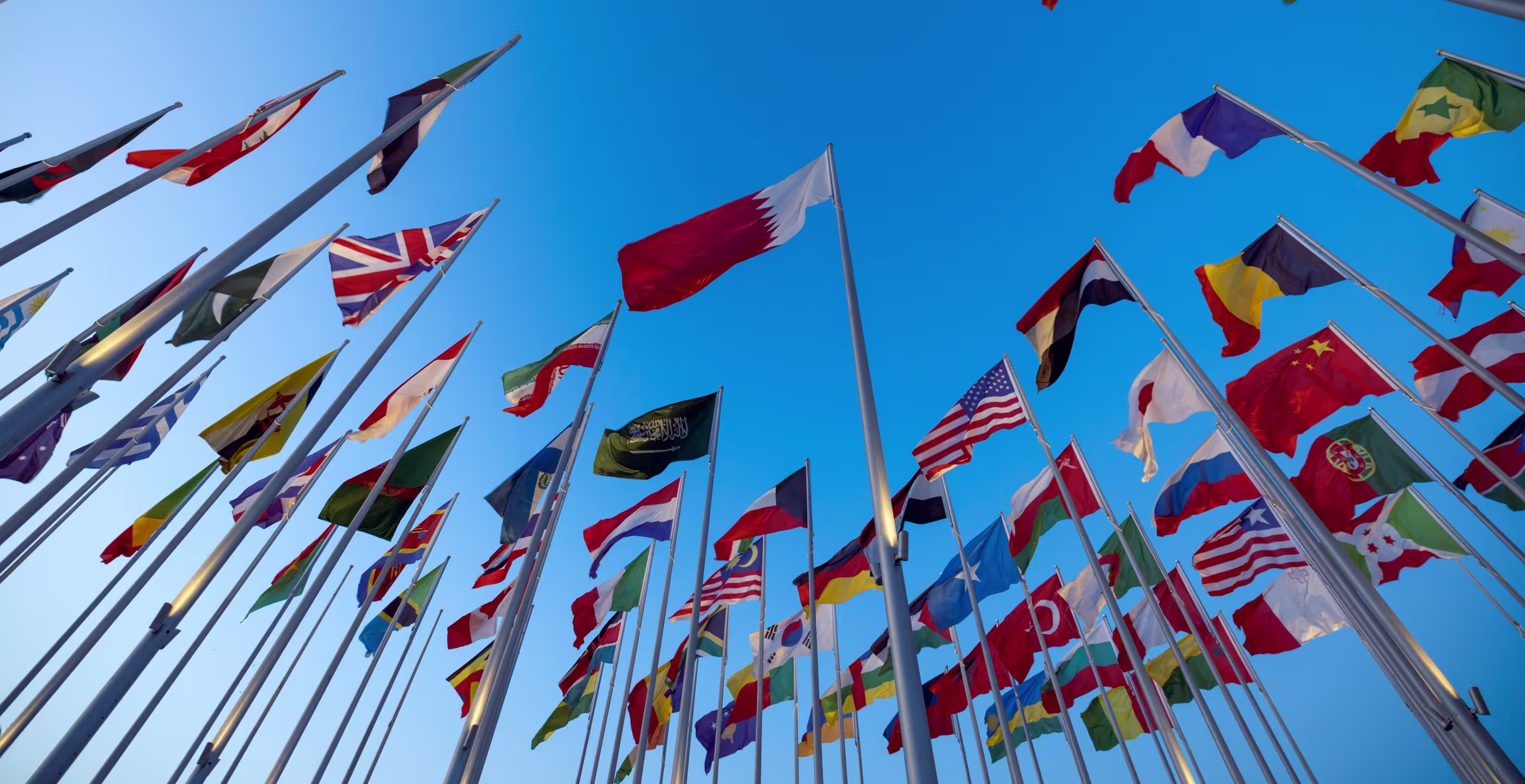 World Flags