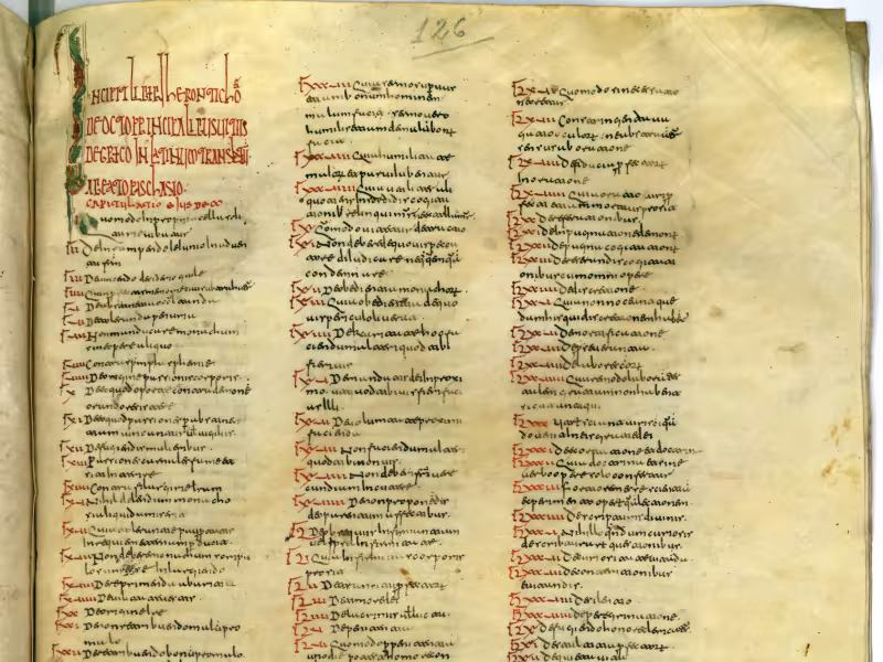 Madrid, Real Academia de la Historia, cód. 80, fol. 126r. This ninth-century manuscript of the Liber geronticon is believed to have been copied in Córdoba.