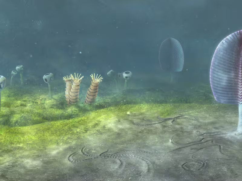 Ediacaran_sea_floor_Namibia_Southwest_Africa_543_million_years_ago_Illustration_by_Mighty_Fossils